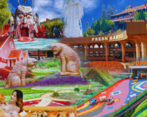 Đà Lạt - Thành phố Hoa và Những Điểm Tham Quan Mới Nhât Hiện Nay