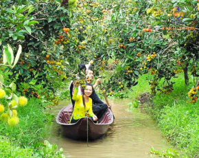TP. HCM - Tiền Giang - Bến Tre -  Năm Căn - Cà Mau - Bạc Liêu - Sóc Trăng - Cần Thơ