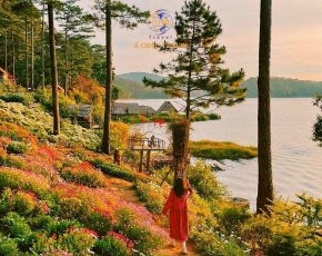 Tour Ghép Đà Lạt 3N3Đ – Miền Du Mục, Mongo Land | Á Châu