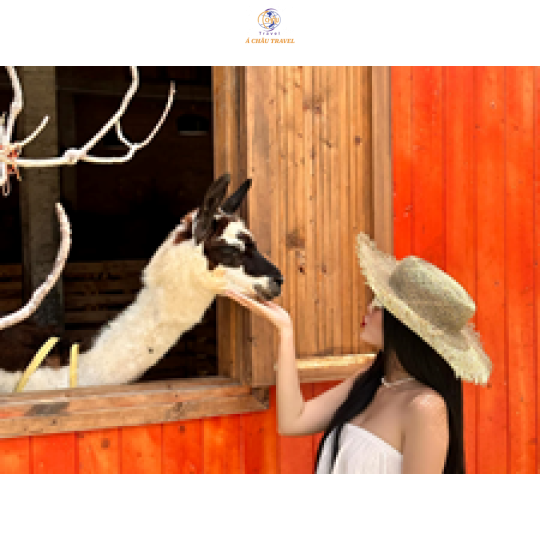 THÀNH PHỐ HỒ CHÍ MÌNH - MŨI NÉ - Thời gian: 2 ngày 1 đêm  (Khởi hành: Thứ 4, Thứ 7 hàng tuần)
