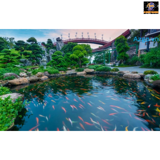 Hà Nội - Hạ Long - Cáp Treo Nữ Hoàng