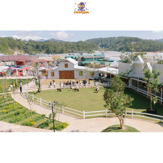 Tour Ghép Đà Lạt 3N3Đ – Miền Du Mục, Mongo Land | Á Châu