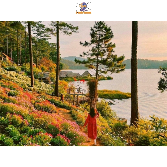 Tour Ghép Đà Lạt 3N3Đ – Miền Du Mục, Mongo Land | Á Châu