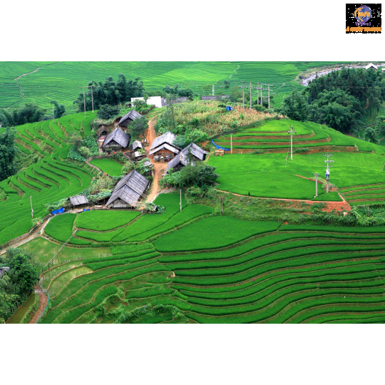 Hà Nội - Lào Cai - SaPa