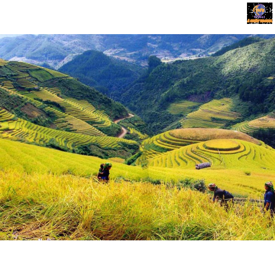 Hà Nội - Lào Cai - SaPa