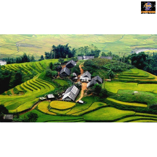 Hà Nội - Lào Cai - SaPa