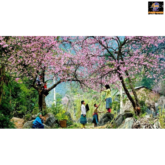 Hà Nội - Lào Cai - SaPa